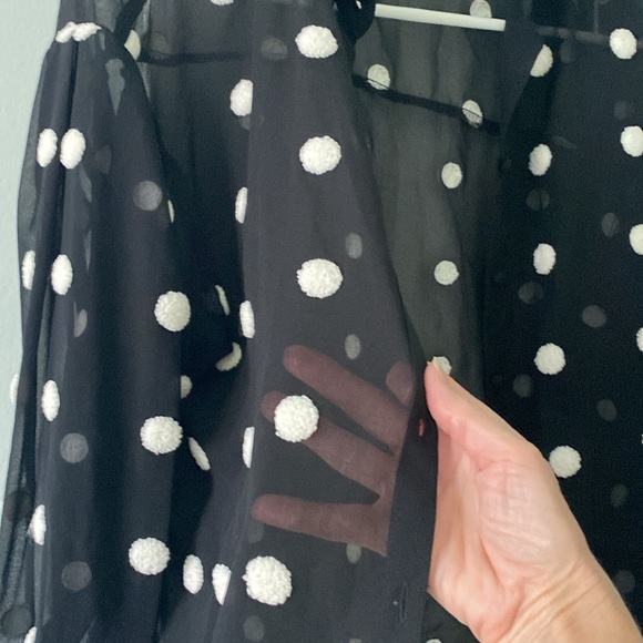 ZARA Blouse. Sz XS fits like a small. Black. Sheer. Like new. - Picture 3 of 7
